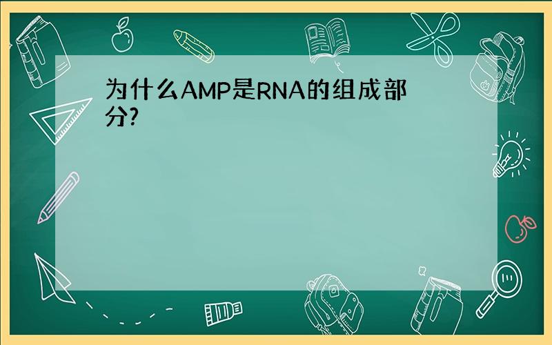 为什么AMP是RNA的组成部分?