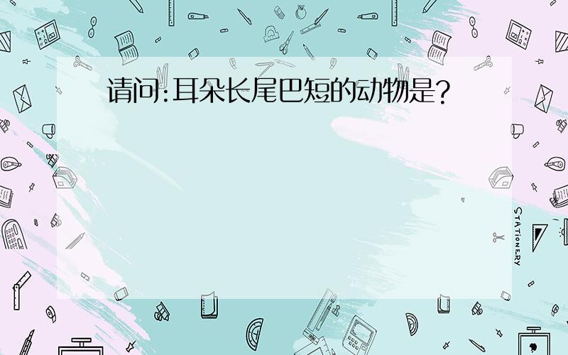 请问:耳朵长尾巴短的动物是?