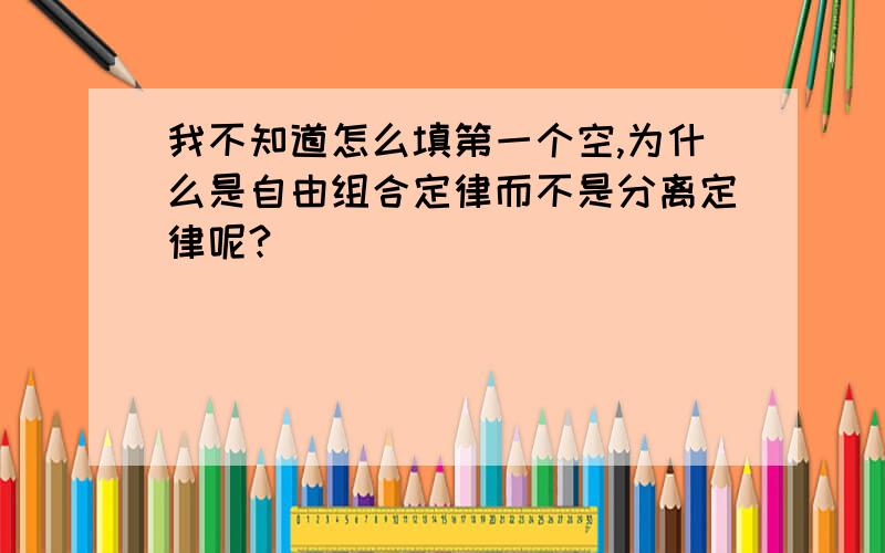 我不知道怎么填第一个空,为什么是自由组合定律而不是分离定律呢?