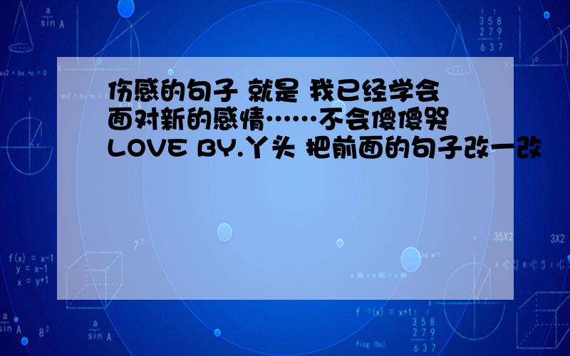 伤感的句子 就是 我已经学会面对新的感情……不会傻傻哭 LOVE BY.丫头 把前面的句子改一改