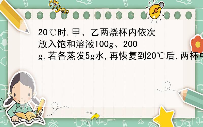 20℃时,甲、乙两烧杯内依次放入饱和溶液100g、200g,若各蒸发5g水,再恢复到20℃后,两杯中析出晶体质量