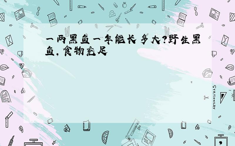 一两黑鱼一年能长多大?野生黑鱼,食物充足