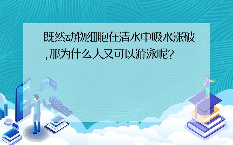 既然动物细胞在清水中吸水涨破,那为什么人又可以游泳呢?