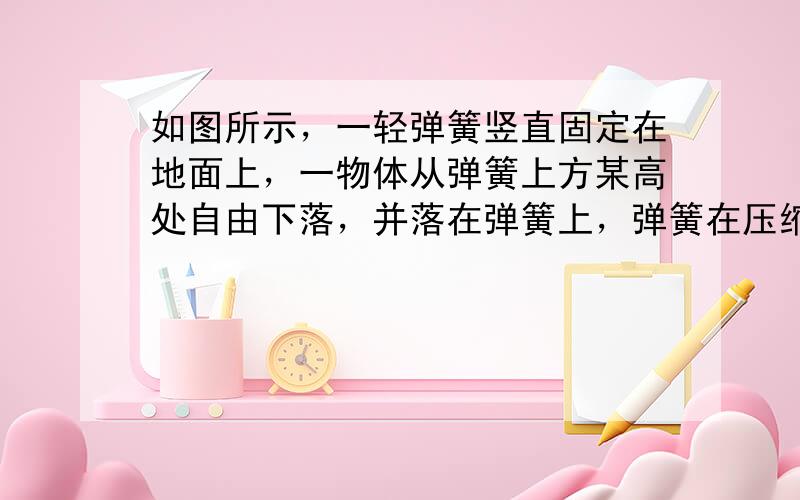 如图所示，一轻弹簧竖直固定在地面上，一物体从弹簧上方某高处自由下落，并落在弹簧上，弹簧在压缩过程中始终遵守胡克定律.从球