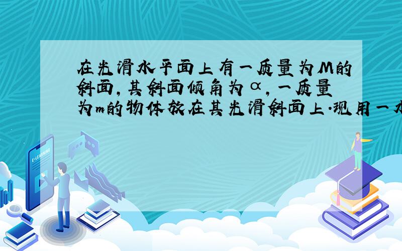 在光滑水平面上有一质量为M的斜面,其斜面倾角为α,一质量为m的物体放在其光滑斜面上.现用一水平力F推斜面,恰使物体m与斜