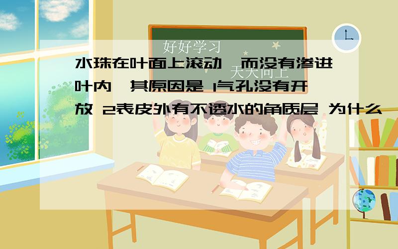 水珠在叶面上滚动,而没有渗进叶内,其原因是 1气孔没有开放 2表皮外有不透水的角质层 为什么