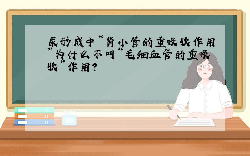 尿形成中“肾小管的重吸收作用”为什么不叫“毛细血管的重吸收”作用?