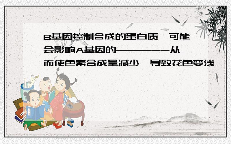 B基因控制合成的蛋白质,可能会影响A基因的------从而使色素合成量减少,导致花色变浅