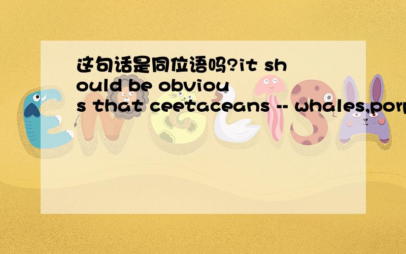 这句话是同位语吗?it should be obvious that ceetaceans -- whales,porp