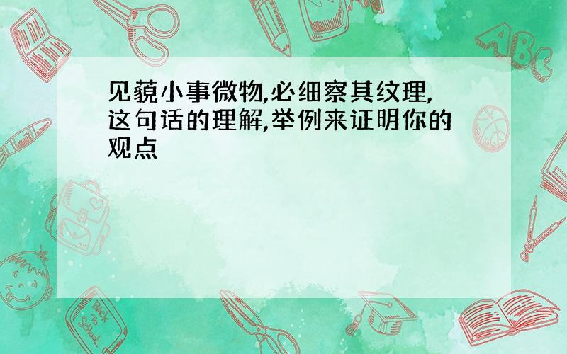 见藐小事微物,必细察其纹理,这句话的理解,举例来证明你的观点