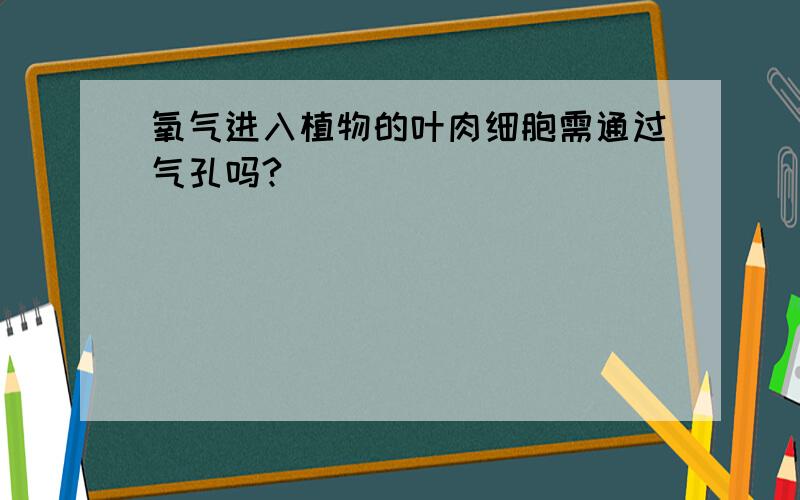 氧气进入植物的叶肉细胞需通过气孔吗?