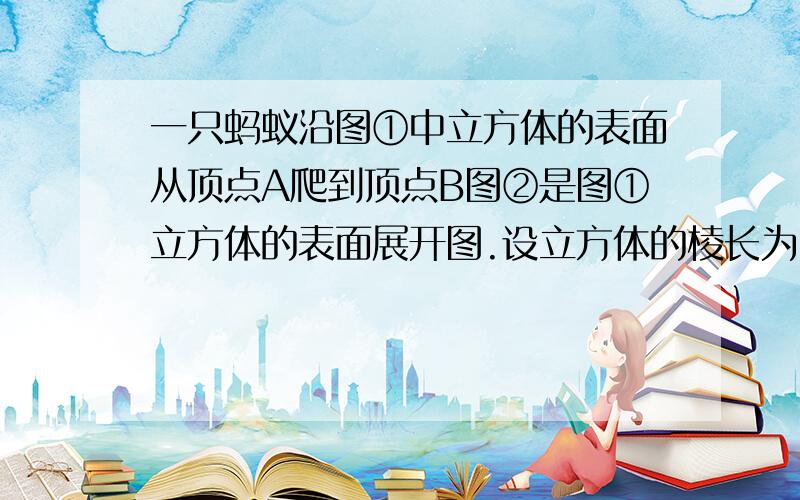 一只蚂蚁沿图①中立方体的表面从顶点A爬到顶点B图②是图①立方体的表面展开图.设立方体的棱长为1那么蚂蚁