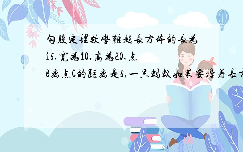 勾股定理数学难题长方体的长为15,宽为10,高为20,点B离点C的距离是5,一只蚂蚁如果要沿着长方体表面从点A爬到点B,