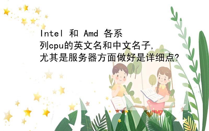 Intel 和 Amd 各系列cpu的英文名和中文名子,尤其是服务器方面做好是详细点?