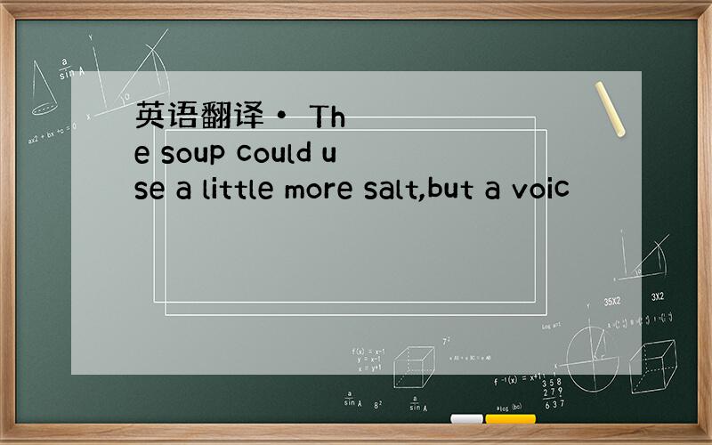 英语翻译• The soup could use a little more salt,but a voic