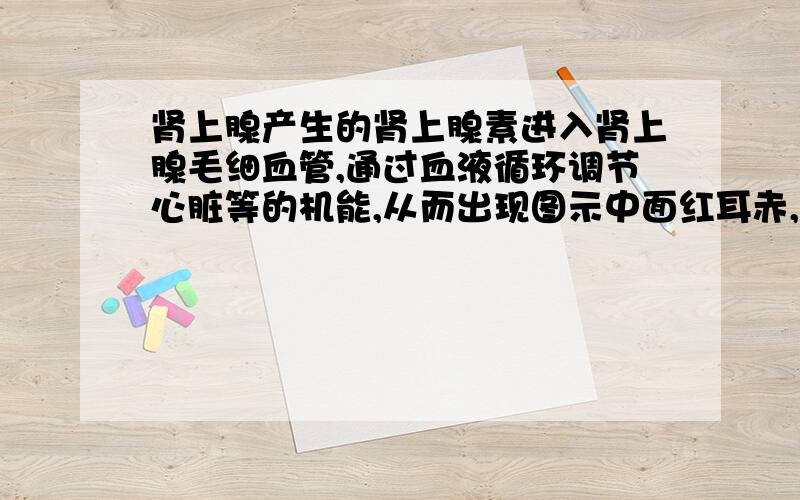 肾上腺产生的肾上腺素进入肾上腺毛细血管,通过血液循环调节心脏等的机能,从而出现图示中面红耳赤,心跳加快现象,这一调节过程