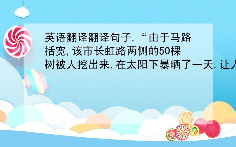 英语翻译翻译句子,“由于马路括宽,该市长虹路两侧的50棵树被人挖出来,在太阳下暴晒了一天,让人看了很心疼.