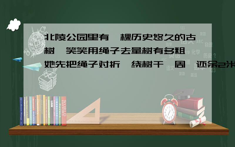 北陵公园里有一棵历史悠久的古树,笑笑用绳子去量树有多粗,她先把绳子对折,绕树干一周,还余2米,又把