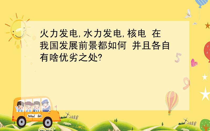 火力发电,水力发电,核电 在我国发展前景都如何 并且各自有啥优劣之处?