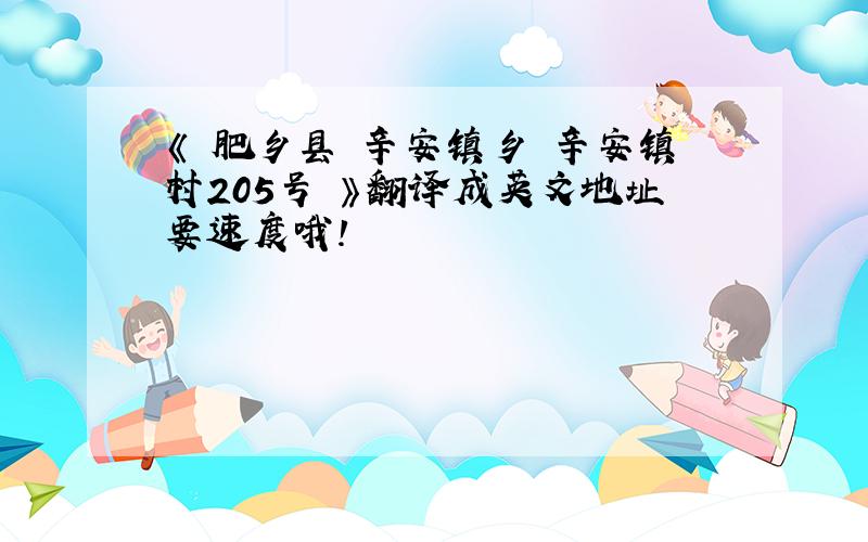 《 肥乡县 辛安镇乡 辛安镇村205号 》翻译成英文地址要速度哦!