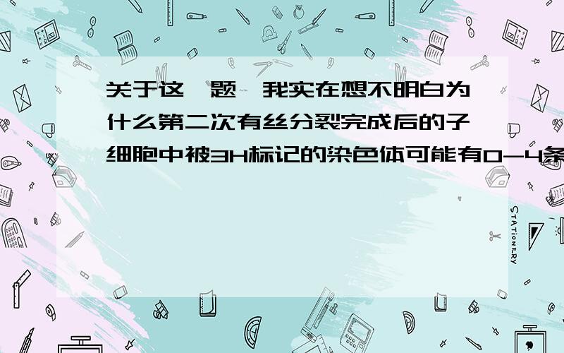 关于这一题,我实在想不明白为什么第二次有丝分裂完成后的子细胞中被3H标记的染色体可能有0-4条,主要问题是我画不好DNA