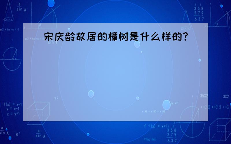 宋庆龄故居的樟树是什么样的?