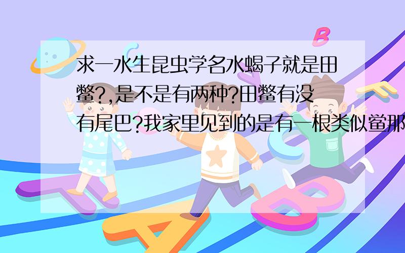 求一水生昆虫学名水蝎子就是田鳖?,是不是有两种?田鳖有没有尾巴?我家里见到的是有一根类似鲎那样的尖尾巴!还是田鳖的尾巴断