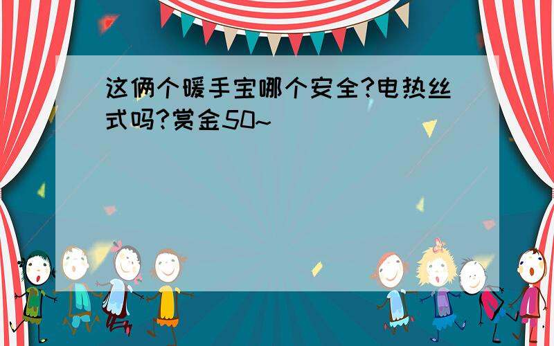 这俩个暖手宝哪个安全?电热丝式吗?赏金50~