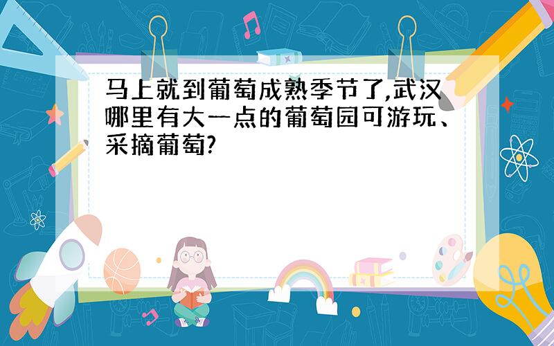 马上就到葡萄成熟季节了,武汉哪里有大一点的葡萄园可游玩、采摘葡萄?