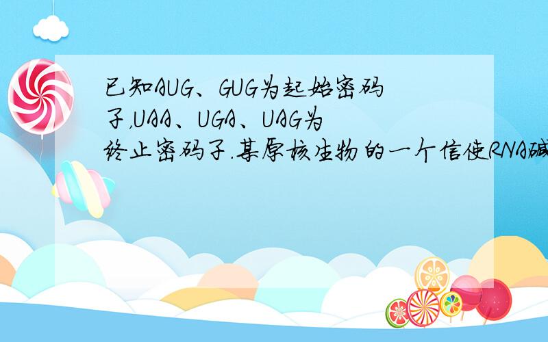 已知AUG、GUG为起始密码子，UAA、UGA、UAG为终止密码子.某原核生物的一个信使RNA碱基排列顺序如下：A-U-