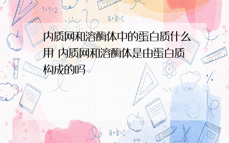 内质网和溶酶体中的蛋白质什么用 内质网和溶酶体是由蛋白质构成的吗