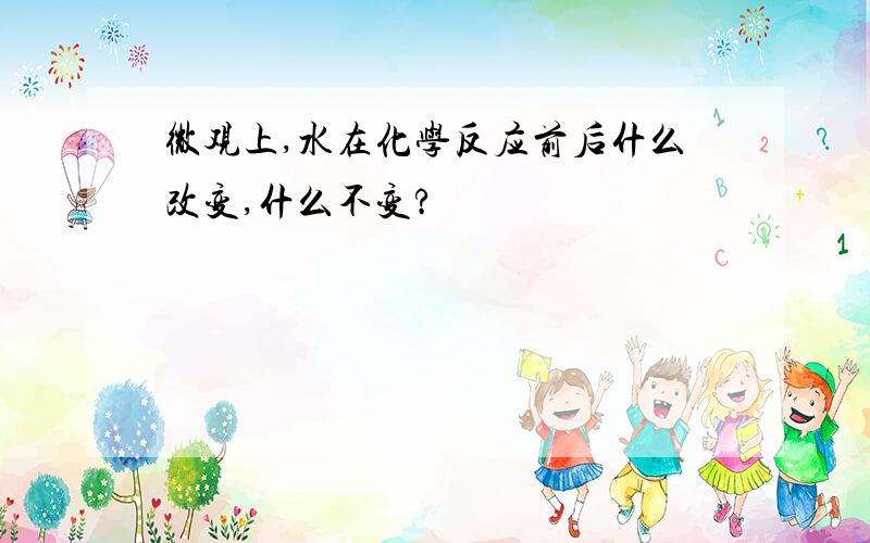 微观上,水在化学反应前后什么改变,什么不变?