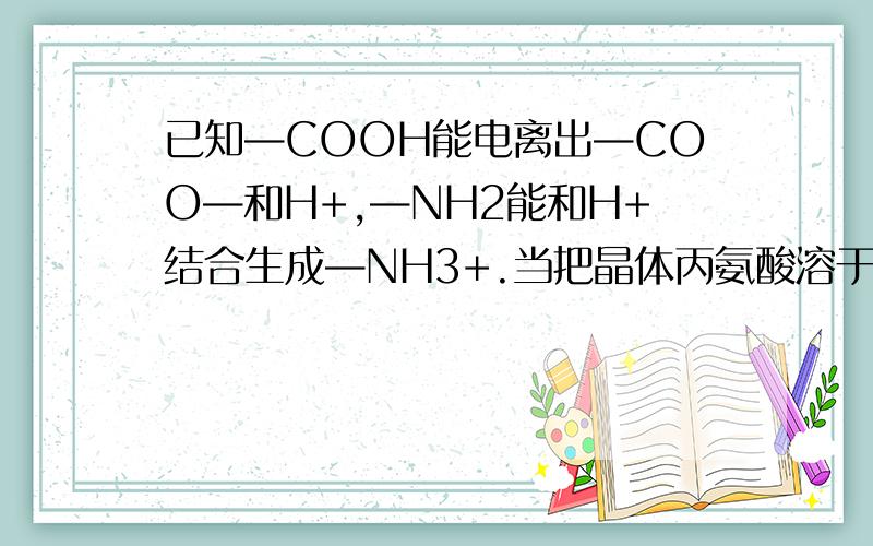 已知—COOH能电离出—COO—和H+,—NH2能和H+结合生成—NH3+.当把晶体丙氨酸溶于水,处于电离平衡状态时,并