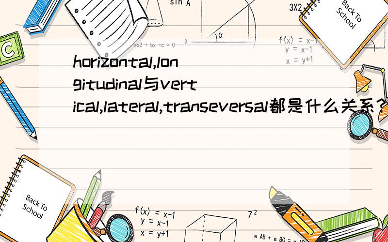 horizontal,longitudinal与vertical,lateral,transeversal都是什么关系?