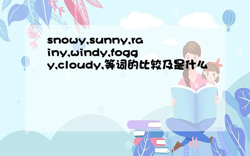 snowy,sunny,rainy,windy,foggy,cloudy,等词的比较及是什么