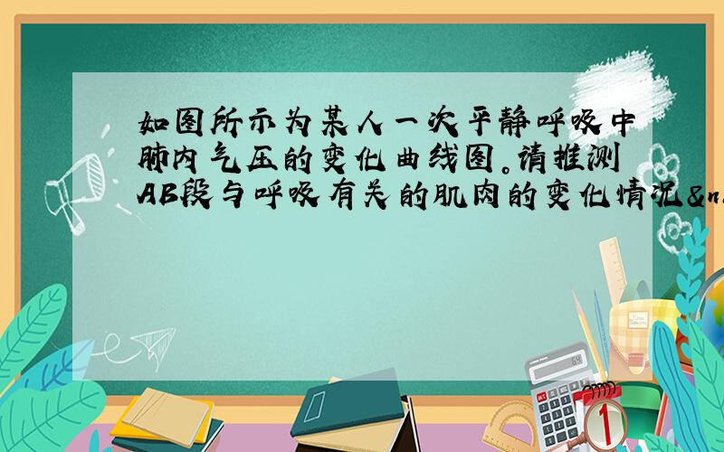 如图所示为某人一次平静呼吸中肺内气压的变化曲线图。请推测AB段与呼吸有关的肌肉的变化情况  &nbs