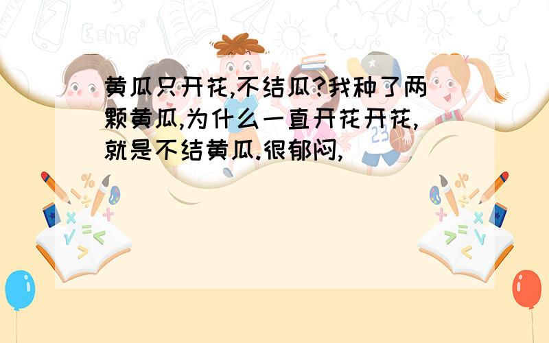 黄瓜只开花,不结瓜?我种了两颗黄瓜,为什么一直开花开花,就是不结黄瓜.很郁闷,