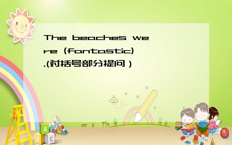 The beaches were (fantastic).(对括号部分提问）