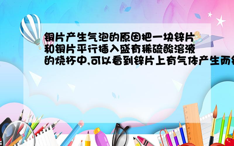 铜片产生气泡的原因把一块锌片和铜片平行插入盛有稀硫酸溶液的烧杯中,可以看到锌片上有气体产生而铜片上没有气体放出.再用导线