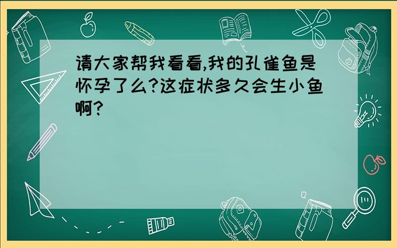 请大家帮我看看,我的孔雀鱼是怀孕了么?这症状多久会生小鱼啊?