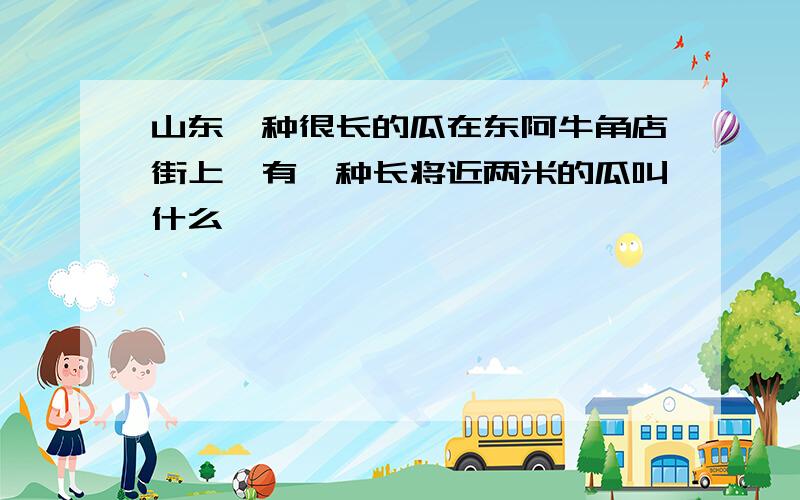 山东一种很长的瓜在东阿牛角店街上,有一种长将近两米的瓜叫什么