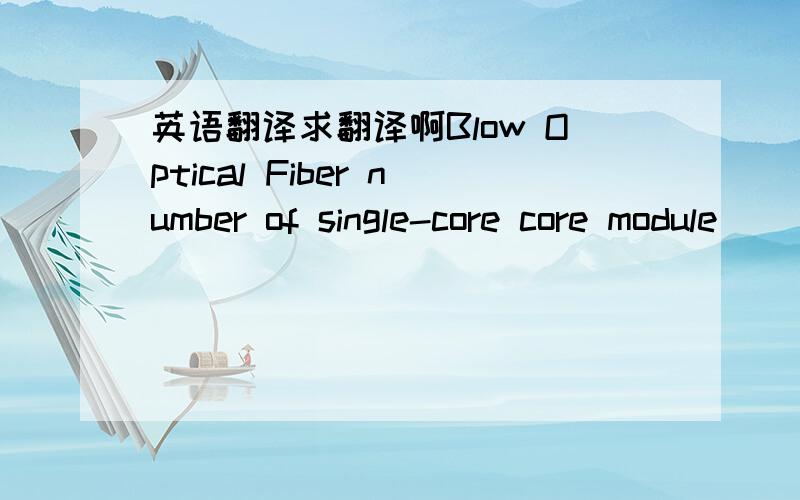 英语翻译求翻译啊Blow Optical Fiber number of single-core core module