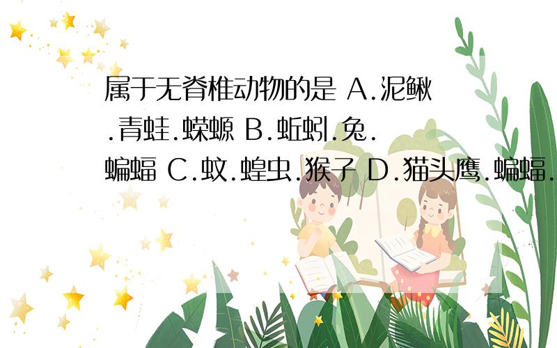 属于无脊椎动物的是 A.泥鳅.青蛙.蝾螈 B.蚯蚓.兔.蝙蝠 C.蚊.蝗虫.猴子 D.猫头鹰.蝙蝠.家蚕