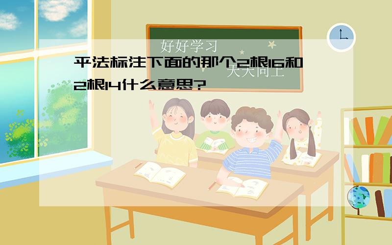 平法标注下面的那个2根16和2根14什么意思?