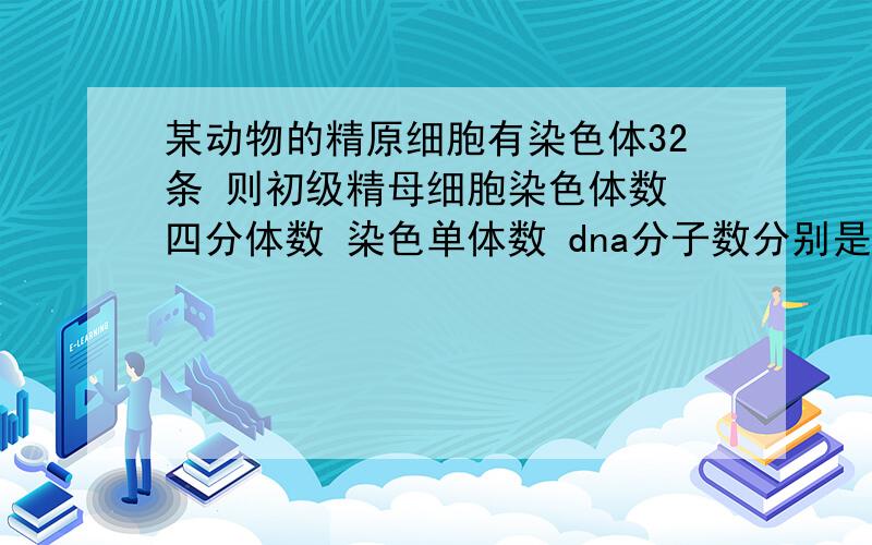 某动物的精原细胞有染色体32条 则初级精母细胞染色体数 四分体数 染色单体数 dna分子数分别是