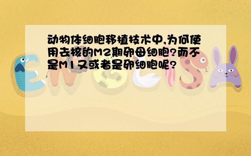 动物体细胞移植技术中,为何使用去核的M2期卵母细胞?而不是M1又或者是卵细胞呢?