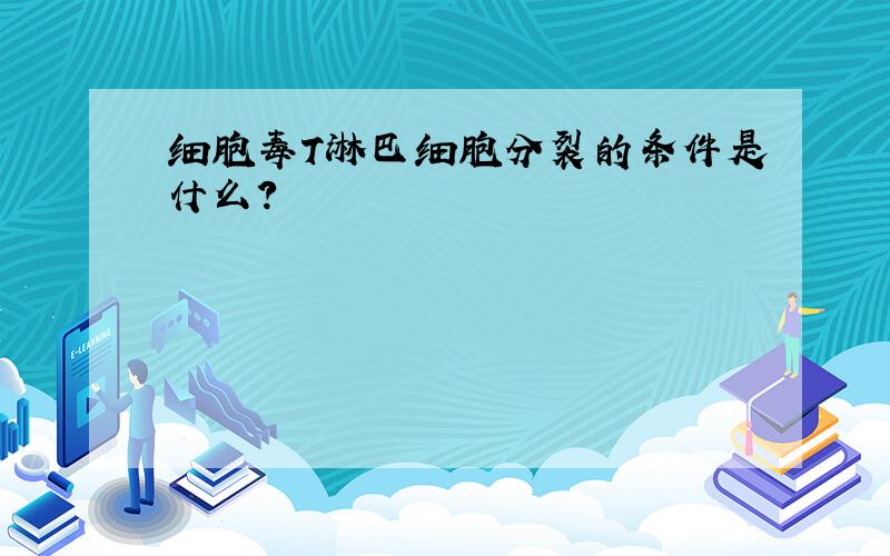 细胞毒T淋巴细胞分裂的条件是什么?