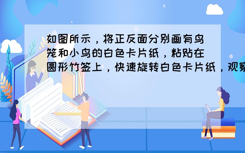 如图所示，将正反面分别画有鸟笼和小鸟的白色卡片纸，粘贴在圆形竹签上，快速旋转白色卡片纸，观察到的现象是（　　）