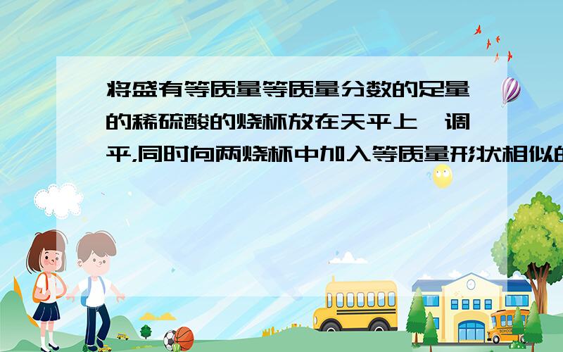 将盛有等质量等质量分数的足量的稀硫酸的烧杯放在天平上、调平，同时向两烧杯中加入等质量形状相似的锌和铁.如图所示：则从开始