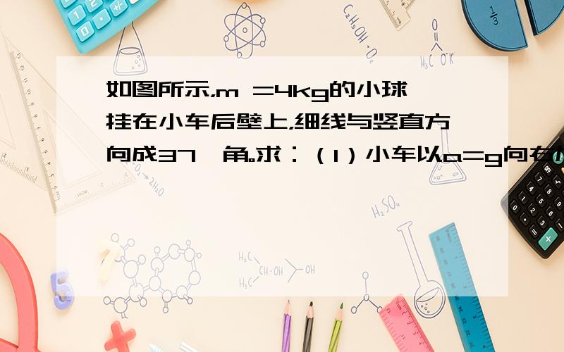 如图所示，m =4kg的小球挂在小车后壁上，细线与竖直方向成37°角。求：（1）小车以a=g向右加速；（2）小车以a=g